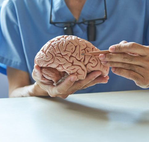 AdobeStock_234065342-scaled